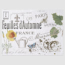 Search for french bee Paris