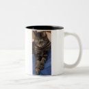 Search for regal mugs Pets