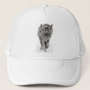 Search for wolf hats Wildlife