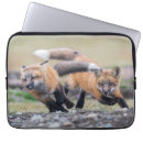 Search for pups electronics Animals in the wild