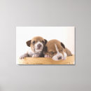 Search for tired canvas prints Studio shot