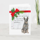 Search for australian cattle dog christmas cards Funny