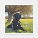 Search for black labrador retriever napkins Dog