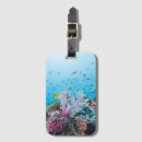 Search for scuba diving luggage tags Ocean