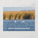 Search for hammock postcards Nature