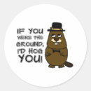 Search for grounding stickers Humour