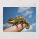 Search for cute chameleon postcards Green