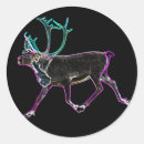 Search for caribe stickers Caribou