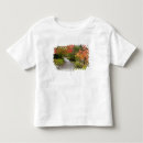 Search for arboretum tshirts Washington park arboretum