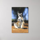 Search for ring canvas prints Animal