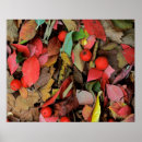 Search for hawthorn posters Autumn