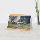 Search for lionesses cards For her