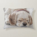 Search for cocker spaniel cushions Pets