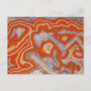 Search for natural science postcards Nobody