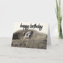 Search for ferret birthday cards Cute