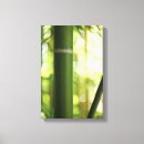 Search for bamboo canvas prints Meditation
