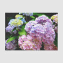 Search for blue hydrangea tissue paper Hydrangeas