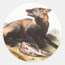 Search for fox painting stickers Vintage