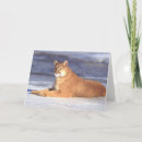 Search for cougar cards Cat