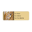 Search for songbird return address labels Wild bird