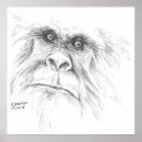 Search for cryptozoology posters Yeti