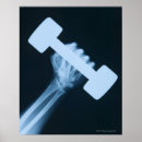 Search for dumbbell posters Studio shot