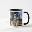 Search for lemurs mugs Endangered