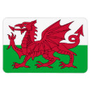 Search for dragon rectangular magnets Wales