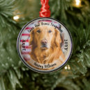 Search for pet supplies Sympathy