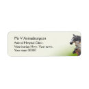 Search for veterinary return address labels Animal hospital