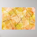 Search for orange border posters Floral