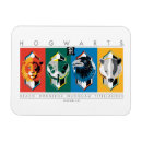 Search for house rectangular magnets Witchcraft