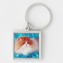 Search for persian cat key rings Feline