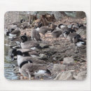 Search for geese mouse mats Brown