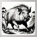 Search for wild boar art Pigs