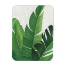 Search for pura magnets Tropical