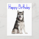 Search for malamute cards Puppies