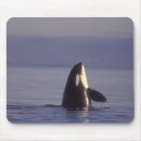 Search for orca killer whale mouse mats Wildlife