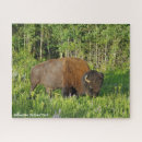 Search for bison puzzles Travel
