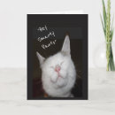 Search for promotion humor congratulations cards Animal