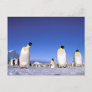 Search for antarctica postcards Sea