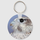 Search for falcons key rings Animal