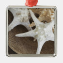 Search for starfish christmas tree decorations Seashell