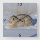 Search for cottontail art Rabbit