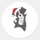 Search for cute border collie stickers Xmas