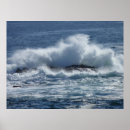 Search for coasts posters Sky