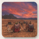 Search for camel home living Giza