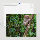 Search for philippines postcards Travel