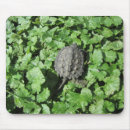 Search for snap mouse mats Nature