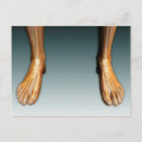Search for neurological postcards 3d